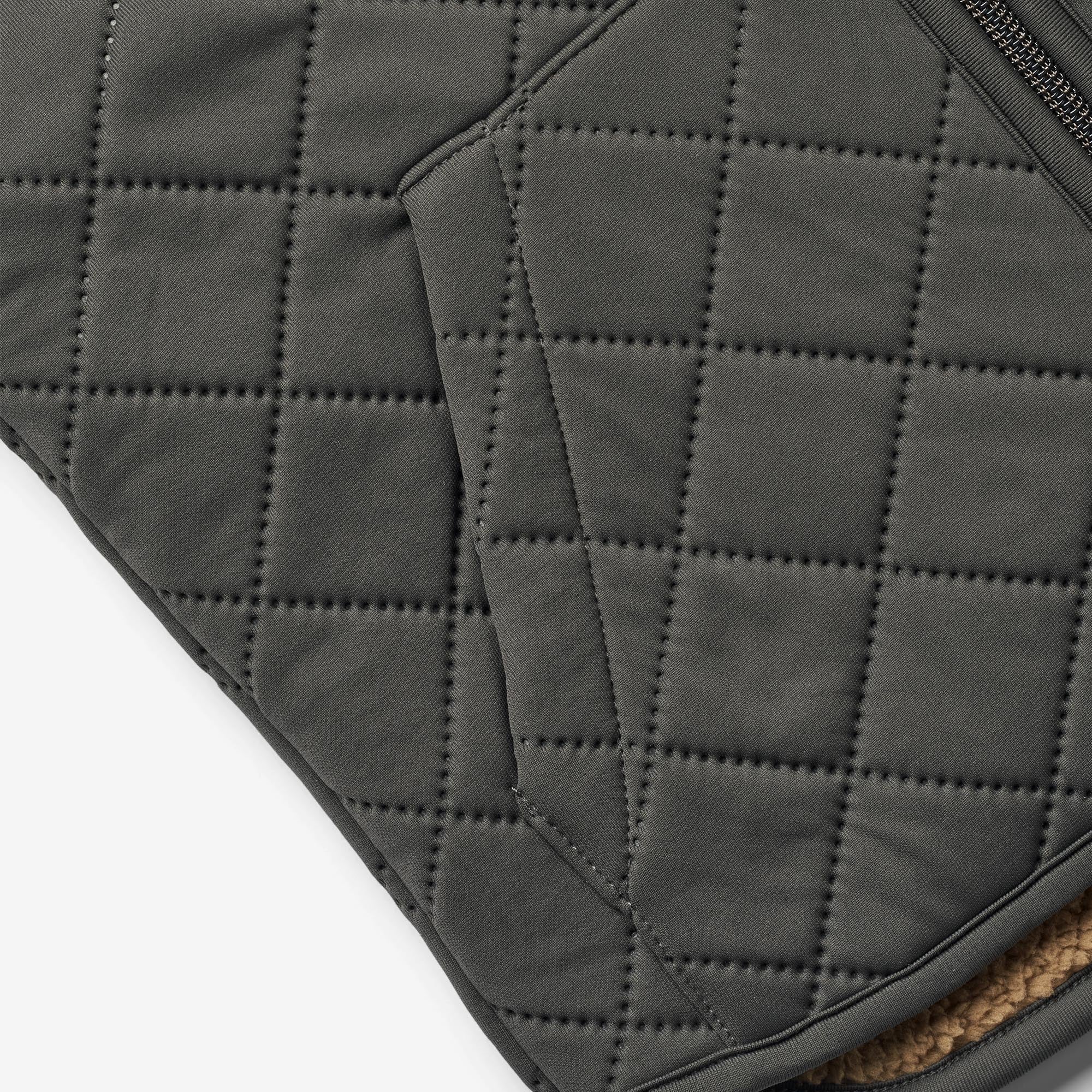 here-at-buy-thermo-gilet-eden-raven-online-sale_3.jpg