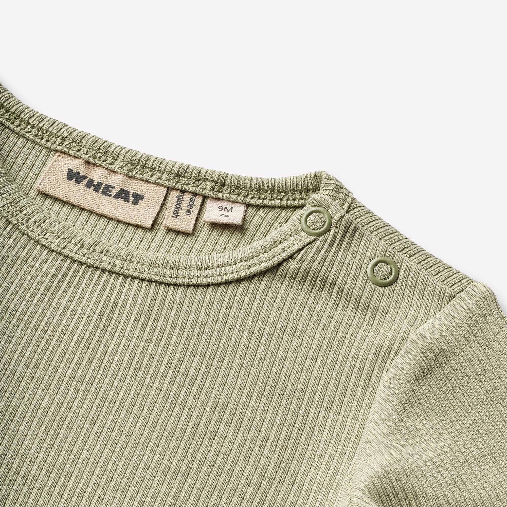 the-official-site-of-body-l-s-berti-green-tea-online-sale_2.jpg