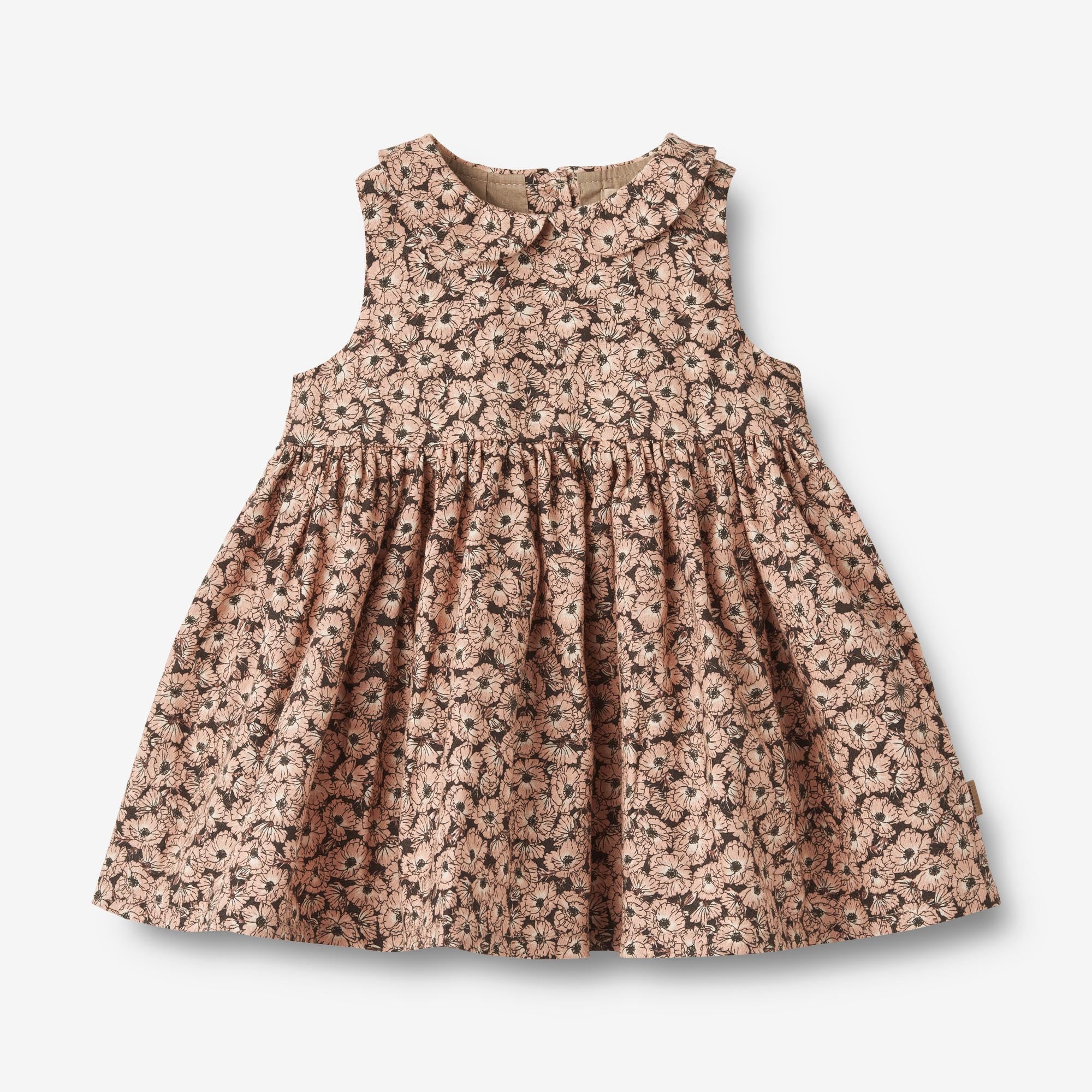 we-sell-the-best-dress-eila-anemones-in-plenty-supply_0.jpg