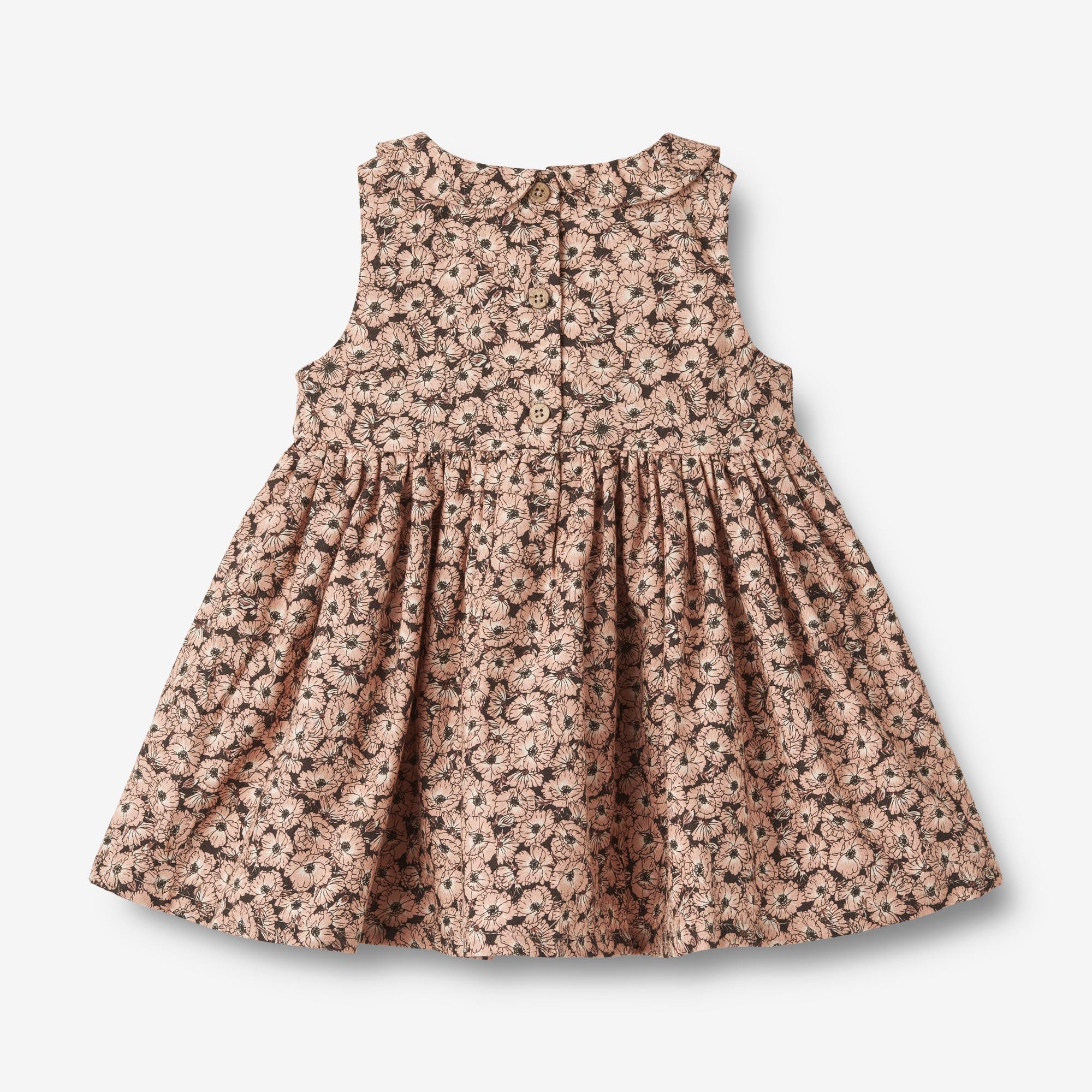 we-sell-the-best-dress-eila-anemones-in-plenty-supply_1.jpg