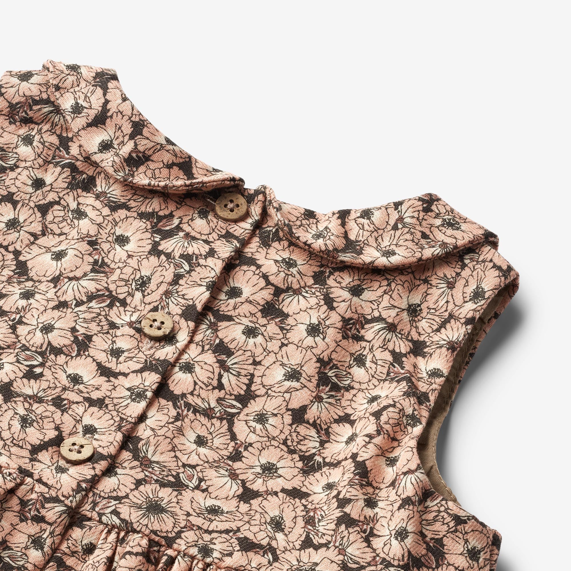 we-sell-the-best-dress-eila-anemones-in-plenty-supply_2.jpg