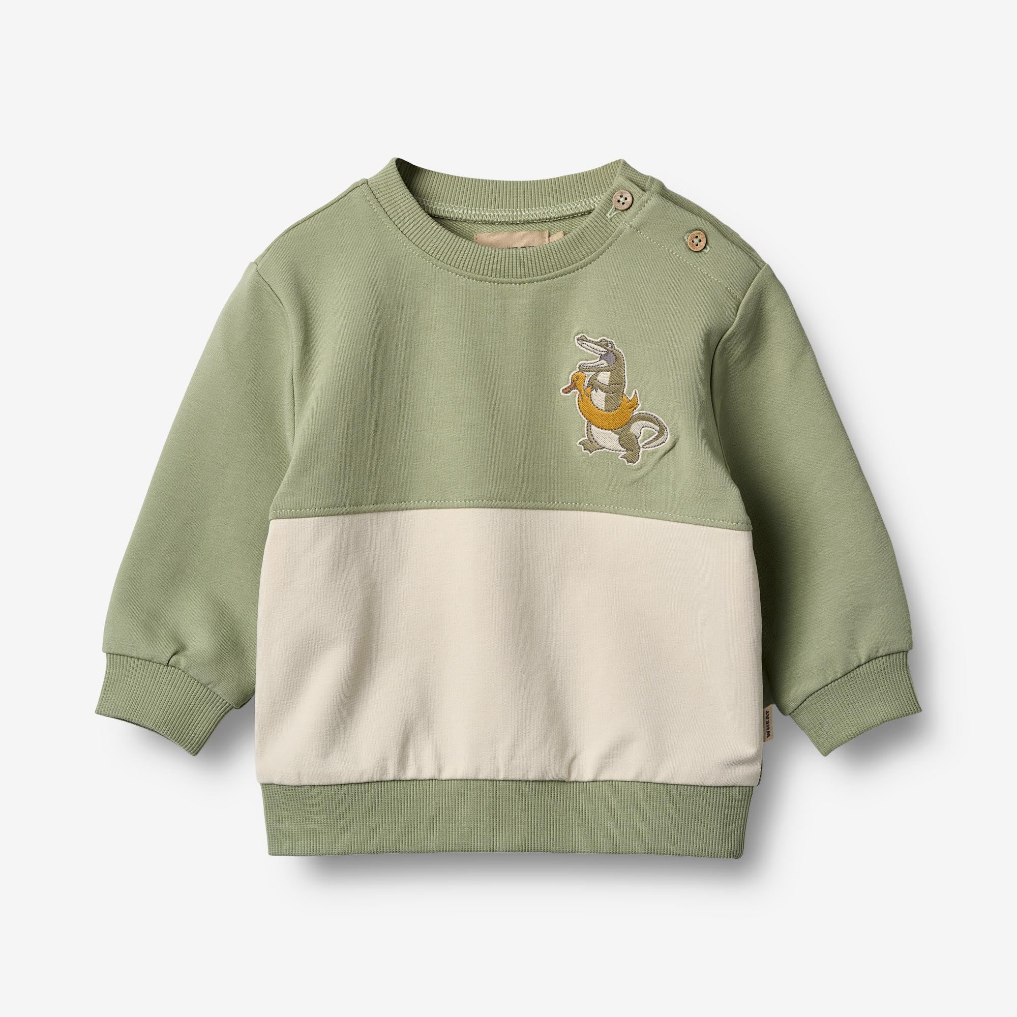 a-favorite-way-to-buy-sweatshirt-carly-green-tea-online-hot-sale_0.jpg