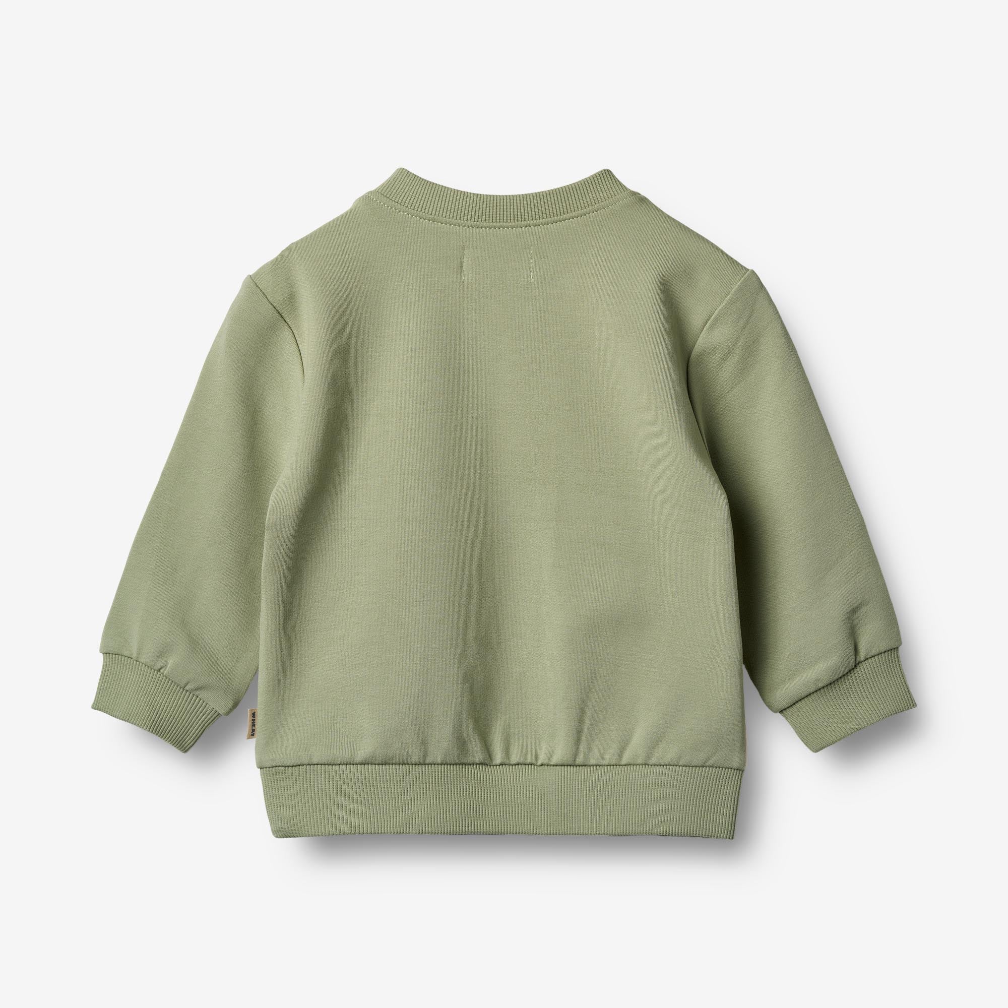 a-favorite-way-to-buy-sweatshirt-carly-green-tea-online-hot-sale_1.jpg