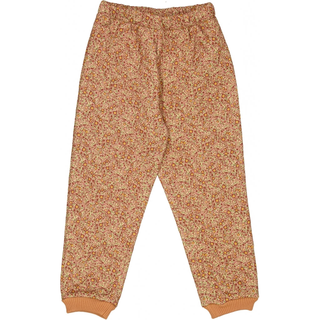 buy-the-best-thermo-pants-alex-buttercups-hot-on-sale_0.jpg