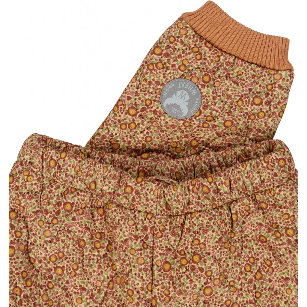 buy-the-best-thermo-pants-alex-buttercups-hot-on-sale_2.jpg