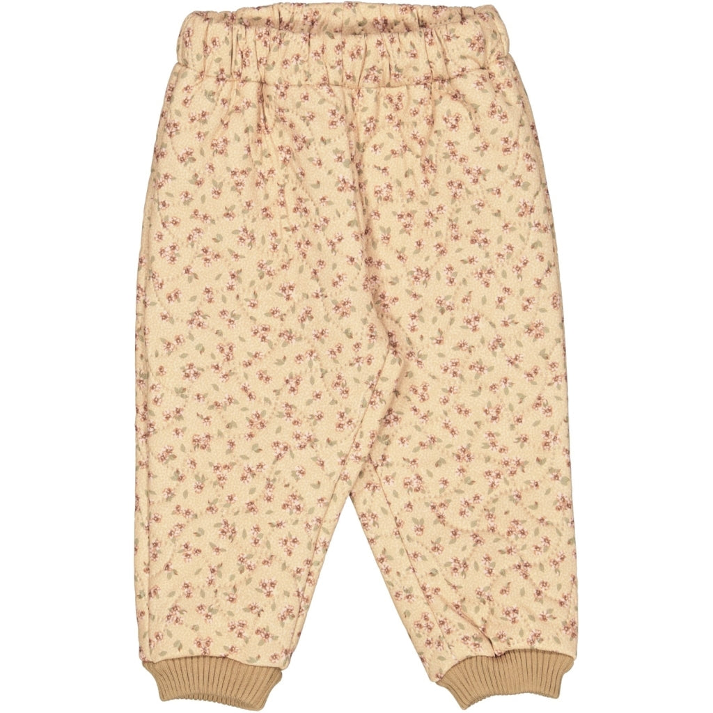 sports-gear-for-thermo-pants-alex-baby-oat-flower-1-online-hot-sale_0.jpg