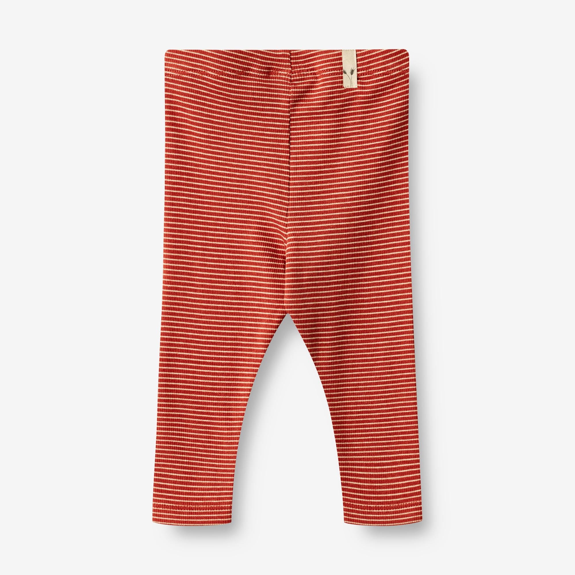 get-a-real-discount-of-rib-leggings-maddy-baby-paprika-stripe-supply_1.jpg