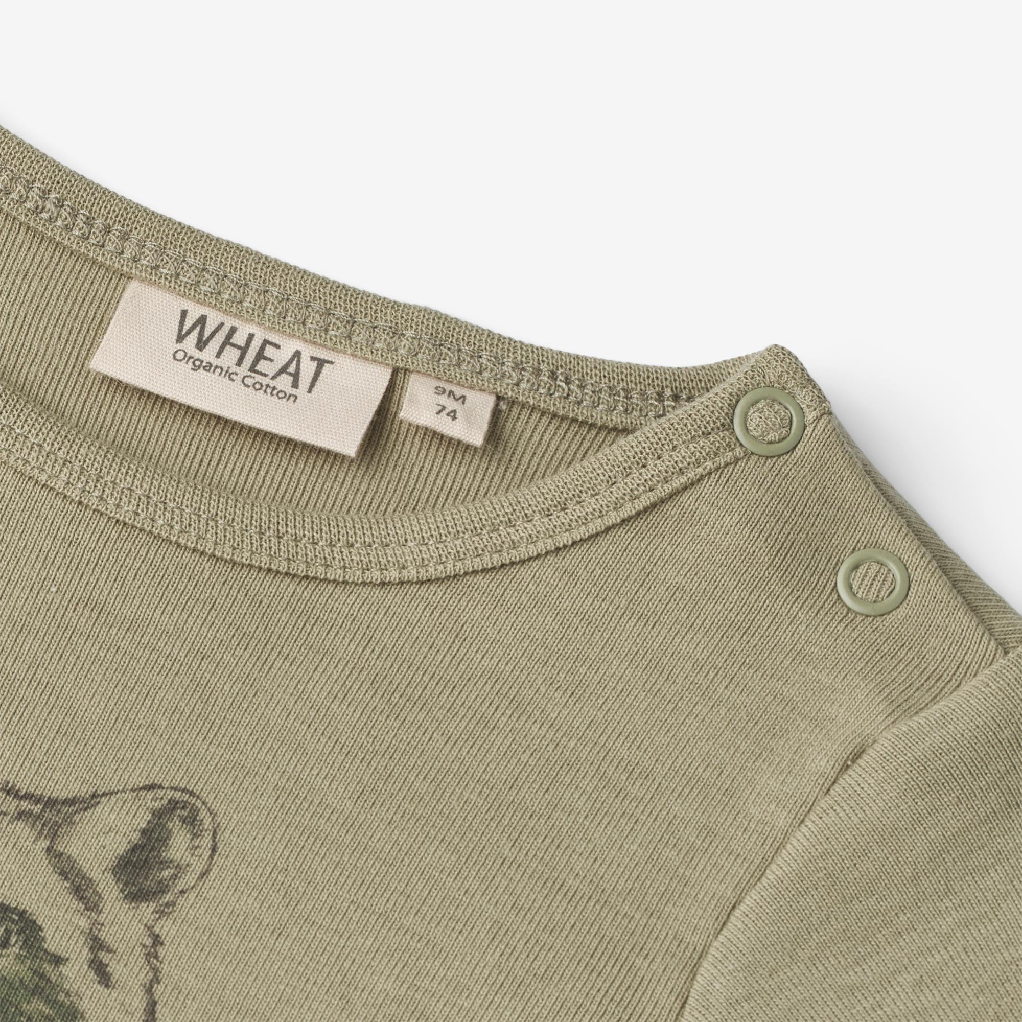 we-offer-a-huge-selection-of-cheap-body-raccoon-baby-sage-fashion_2.jpg